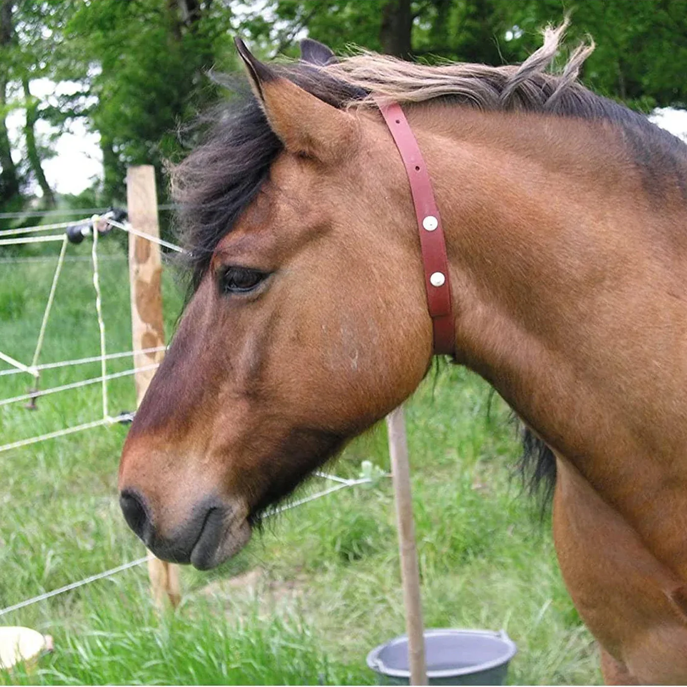 Alzoo Herbal Horse Collar - Image 3