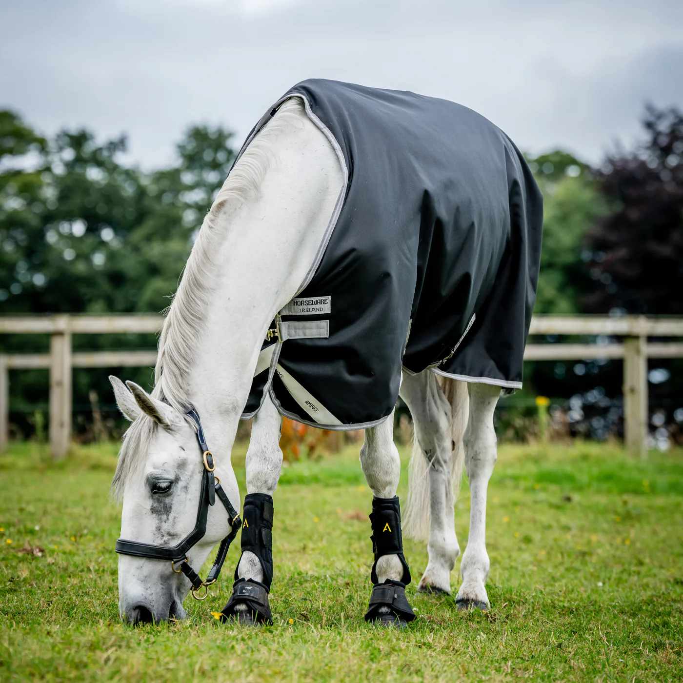 Amigo Bravo 12 Original Turnout Blanket 0 g - Image 2