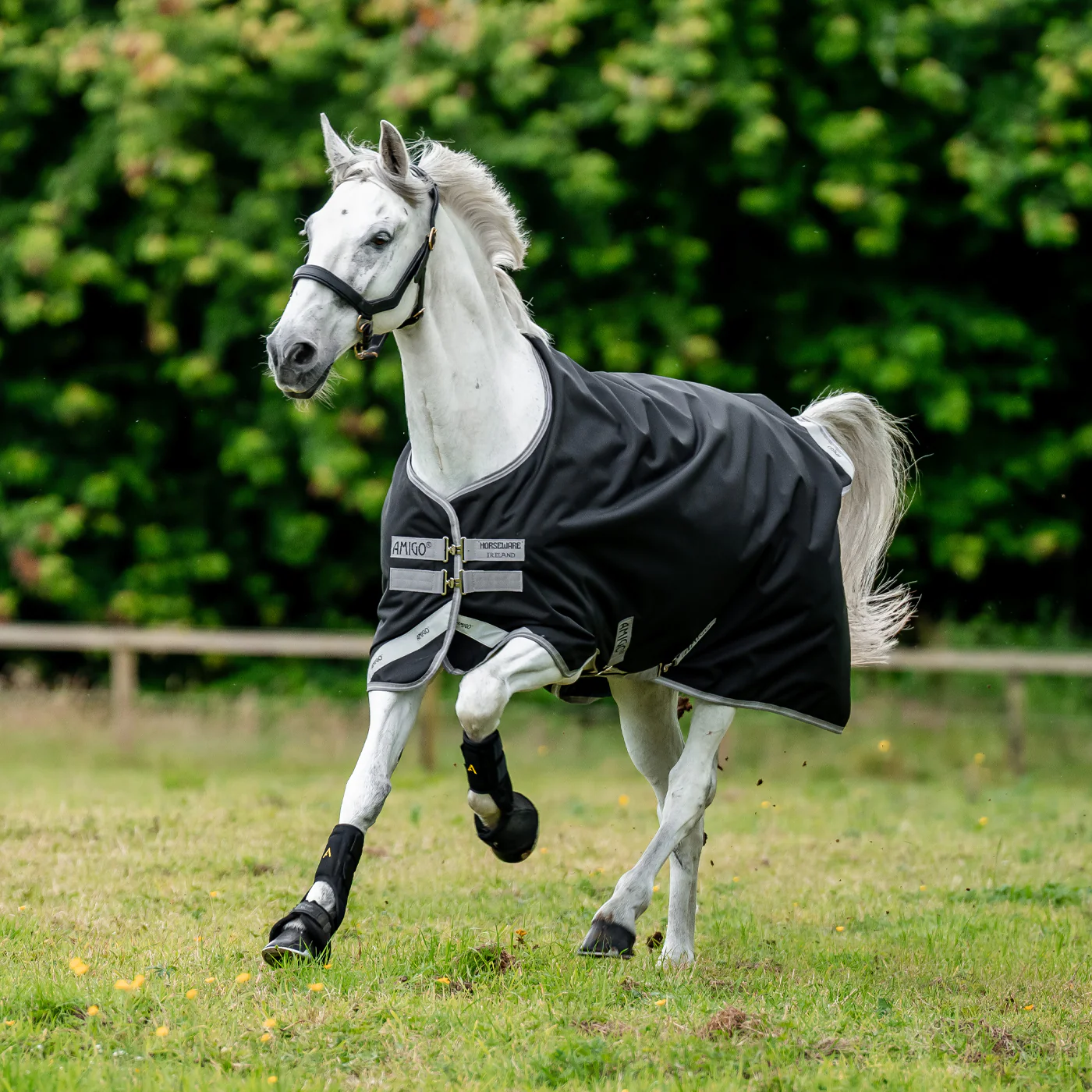 Amigo Bravo 12 Original Turnout Blanket 0 g - Image 3