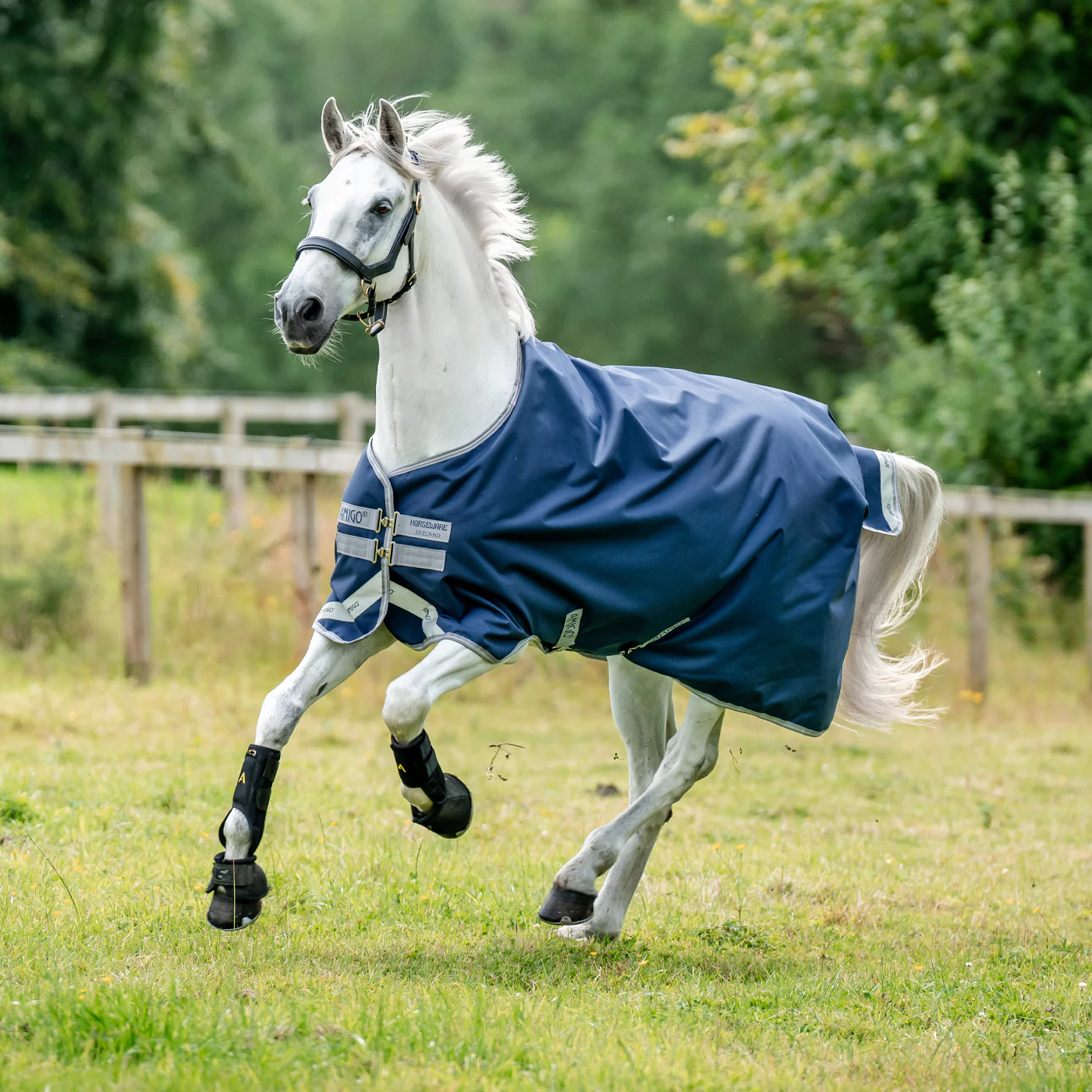 Amigo Bravo 12 Original Turnout Blanket 0 g - Image 8