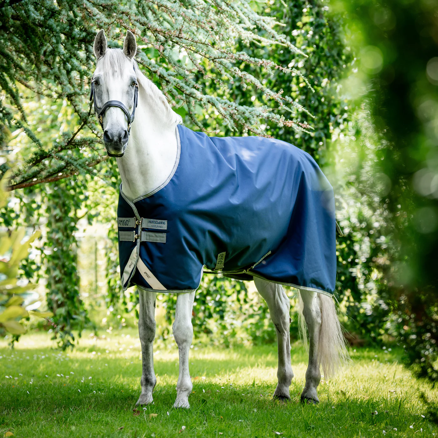 Amigo Bravo 12 Original Turnout Blanket 0 g - Image 9