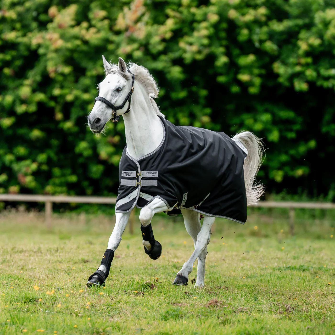 Amigo Bravo 12 Original Turnout Blanket 100 g