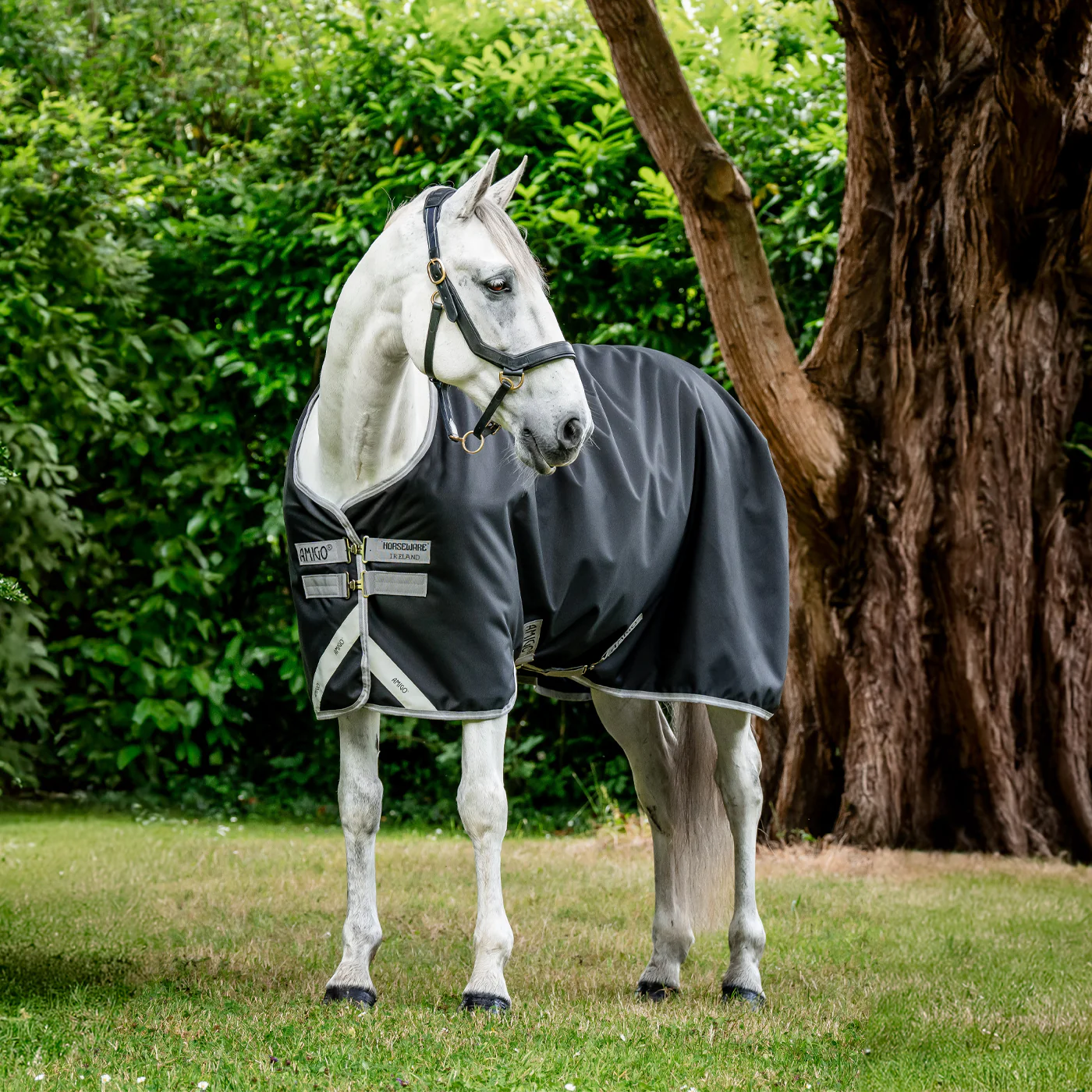 Amigo Bravo 12 Original Turnout Blanket 100 g - Image 2