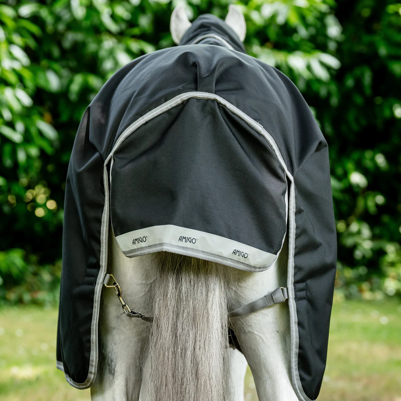 Amigo Bravo 12 Original Turnout Blanket 100 g - Image 5