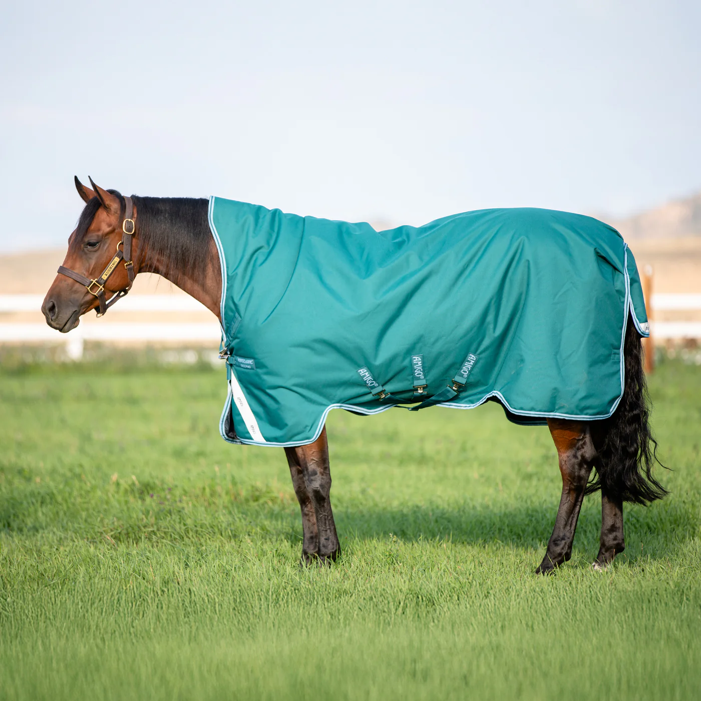 Amigo Bravo 12 Wug Medium Turnout Blanket 250 g