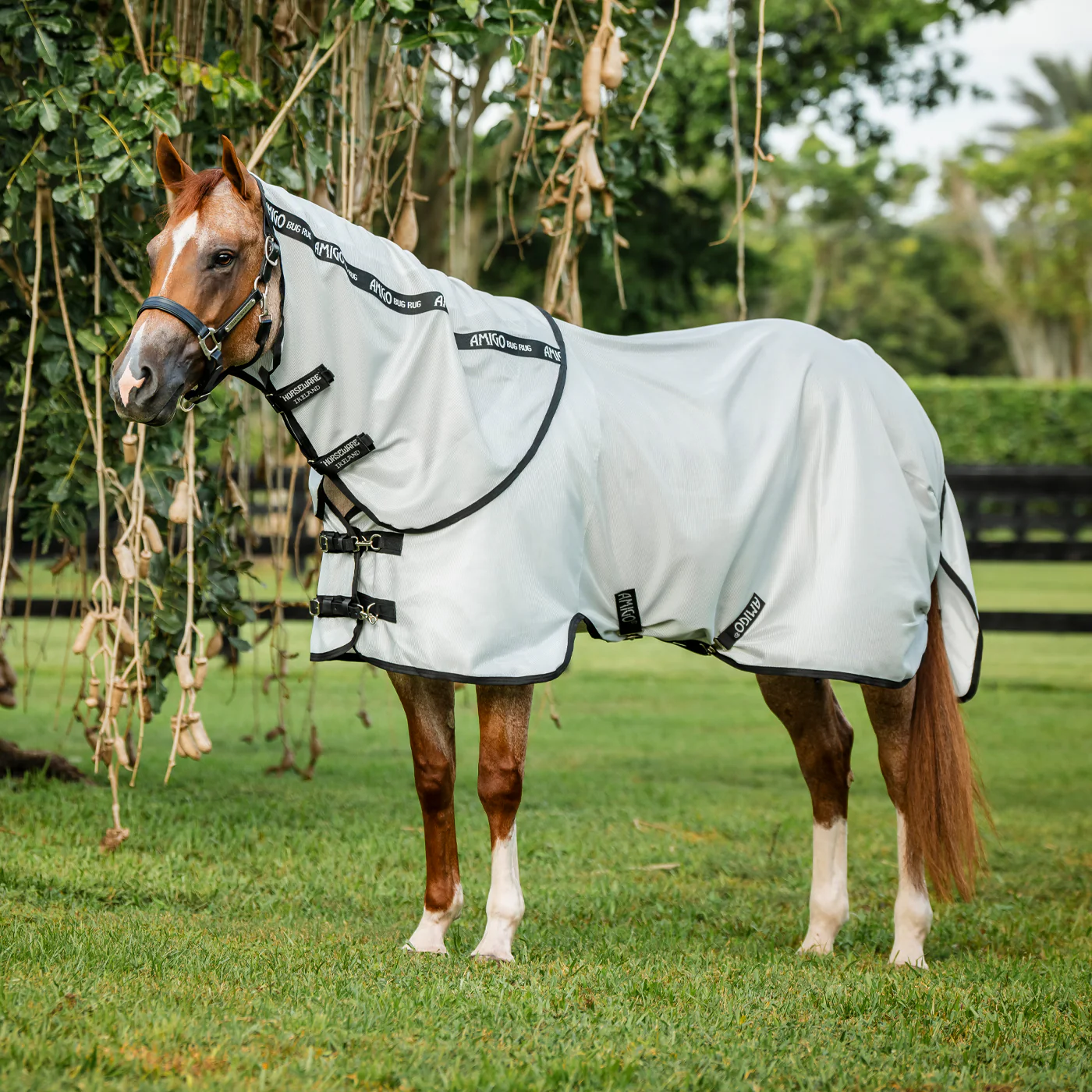 Amigo Bug Rug Quarter Horse Plus Fly Sheet