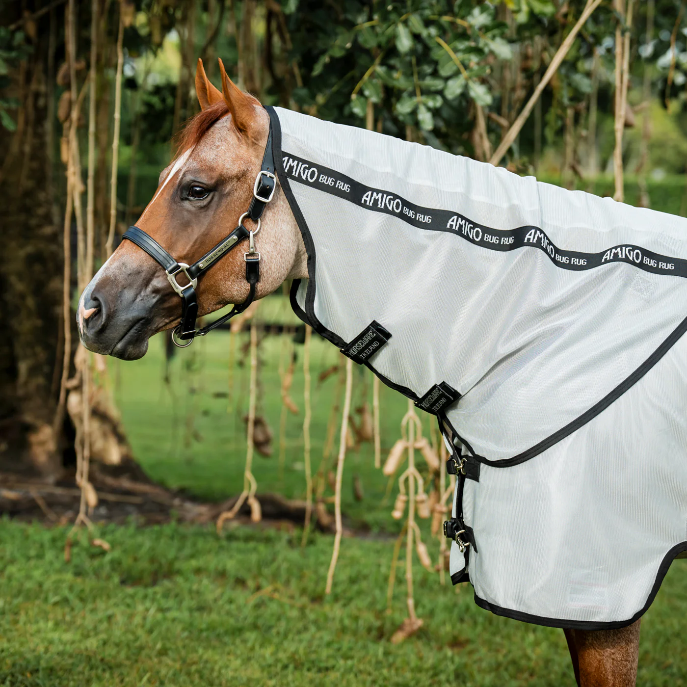 Amigo Bug Rug Quarter Horse Plus Fly Sheet - Image 2