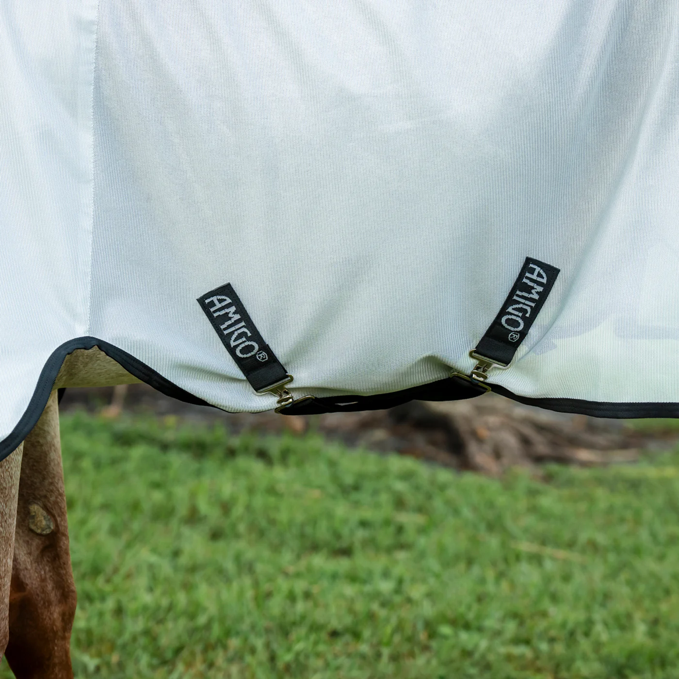 Amigo Bug Rug Quarter Horse Plus Fly Sheet - Image 3