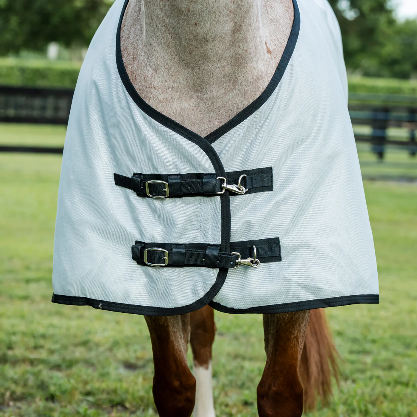 Amigo Bug Rug Quarter Horse Plus Fly Sheet - Image 4