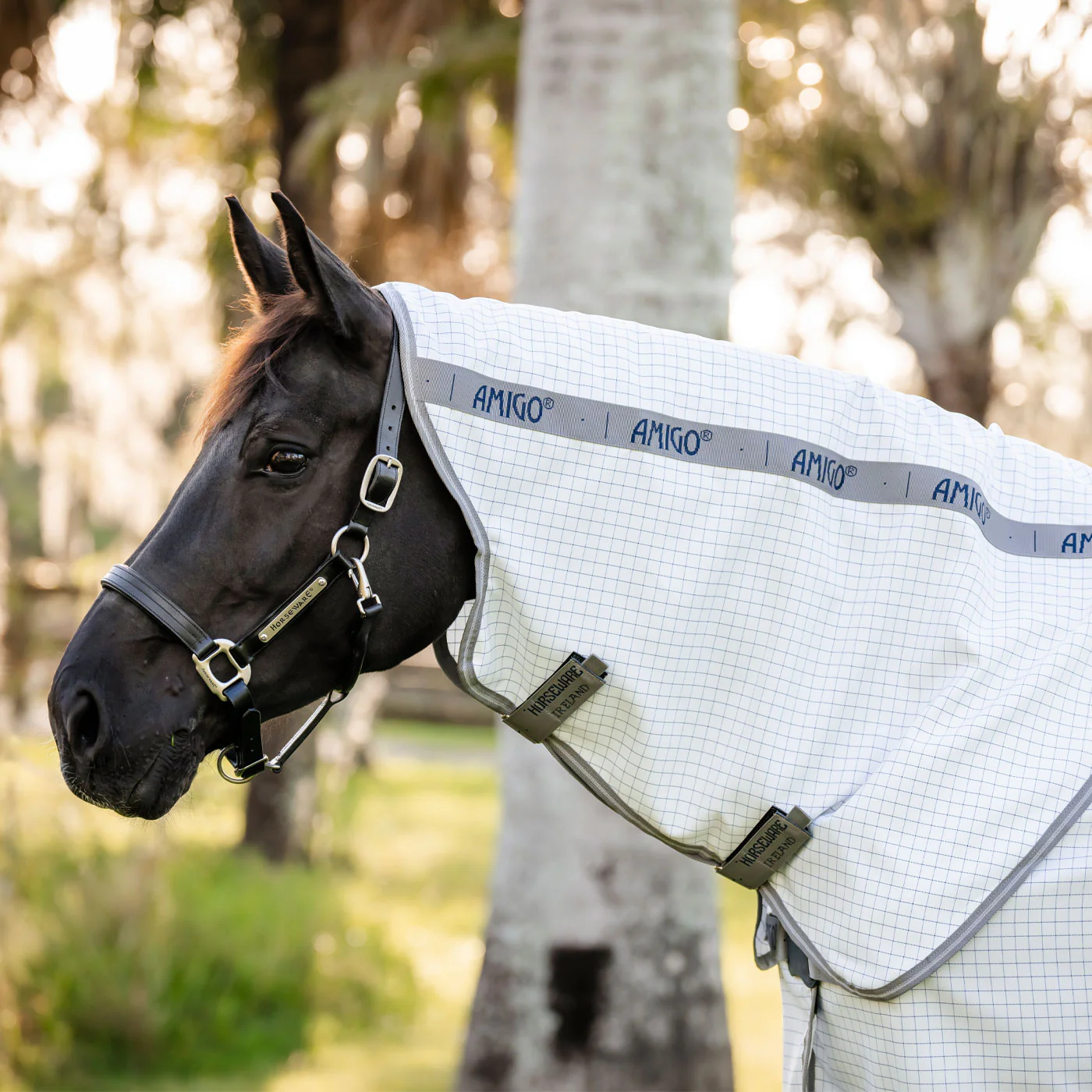 Amigo Summer Fly Sheet Plus - Image 3
