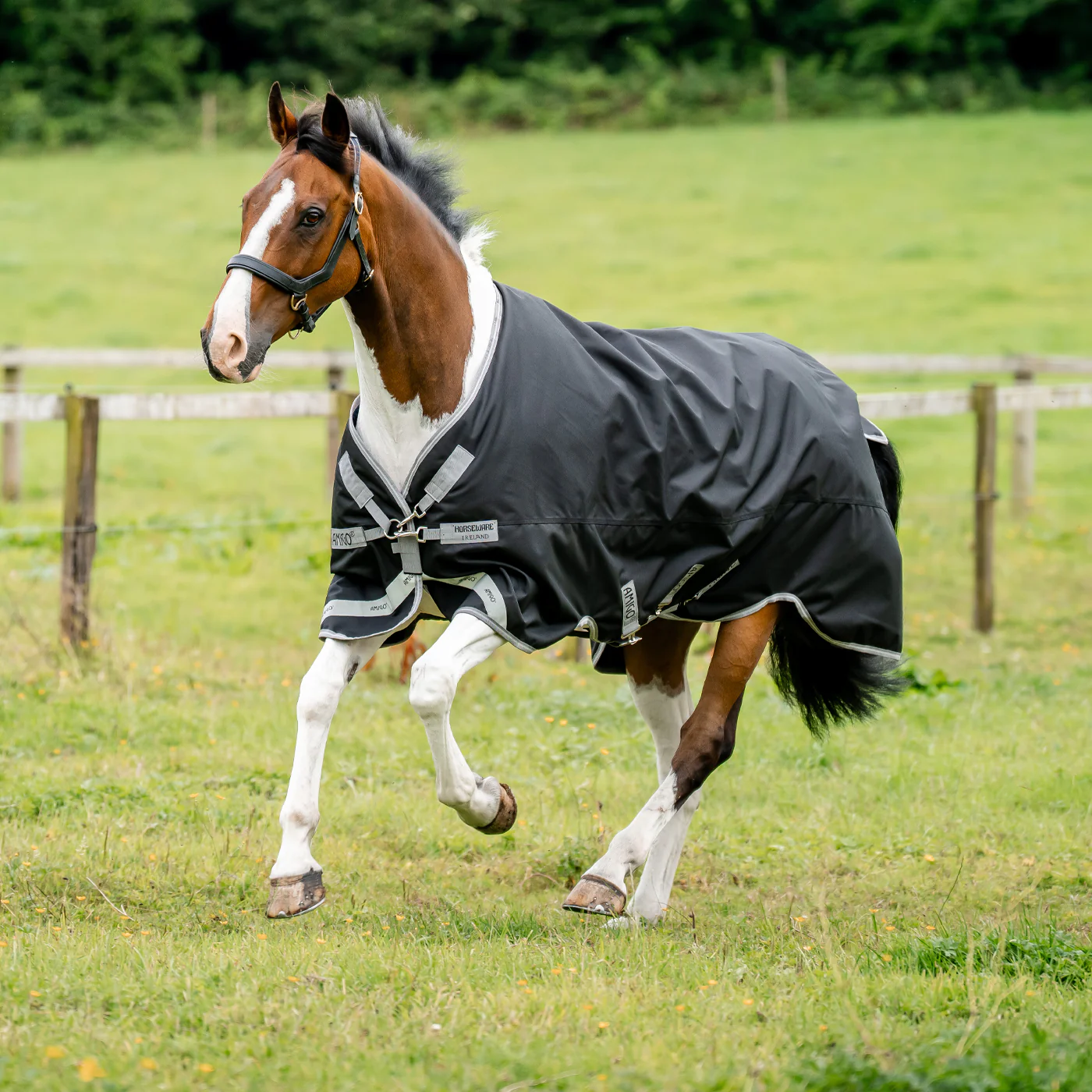 Amigo XL 1200D Turnout Blanket 50 g