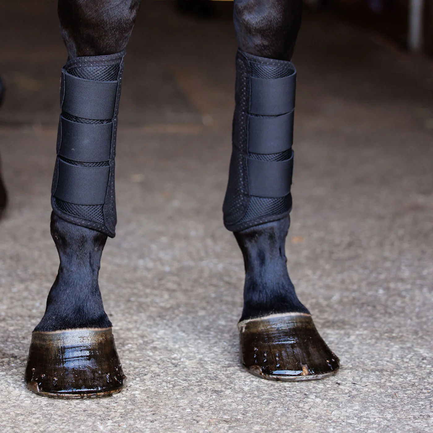 Anatomeq AirGuard Brush Boots - Image 4