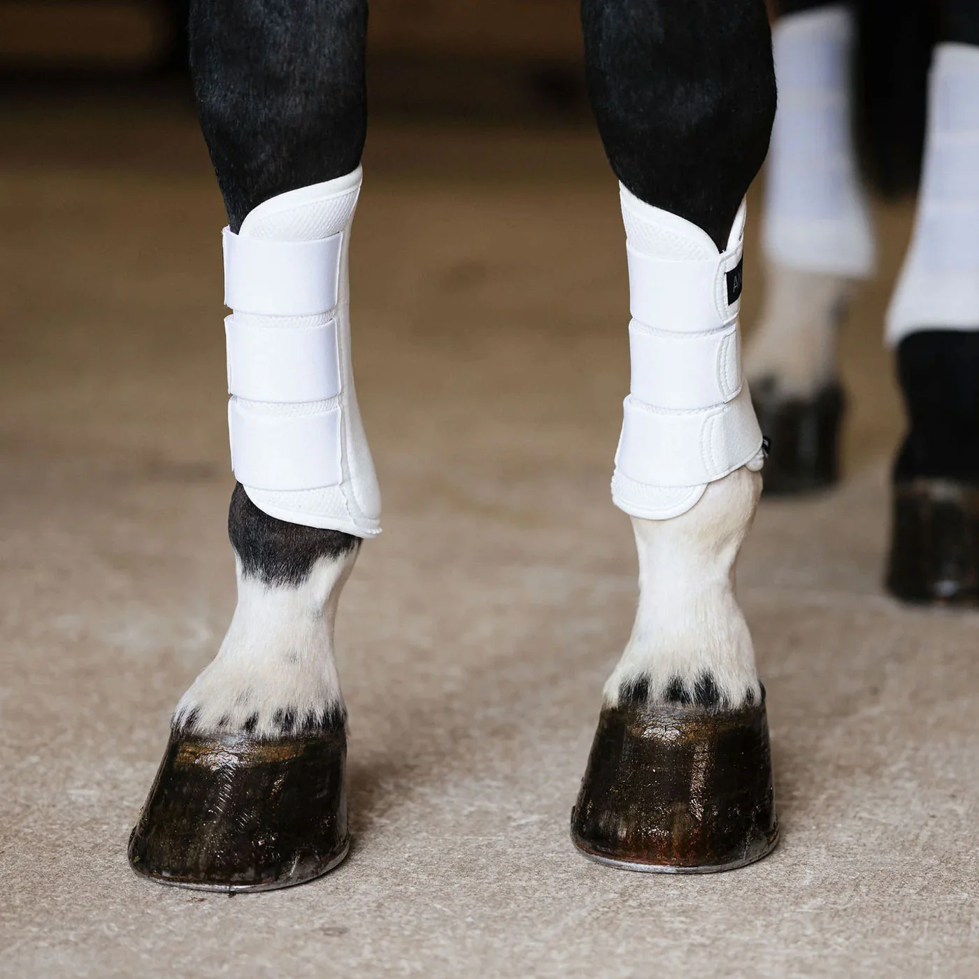 Anatomeq AirGuard Brush Boots - Image 7