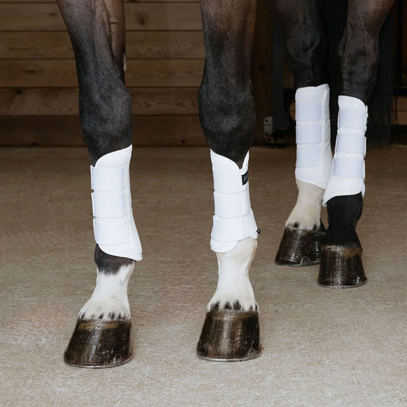 Anatomeq AirGuard Brush Boots - Image 8