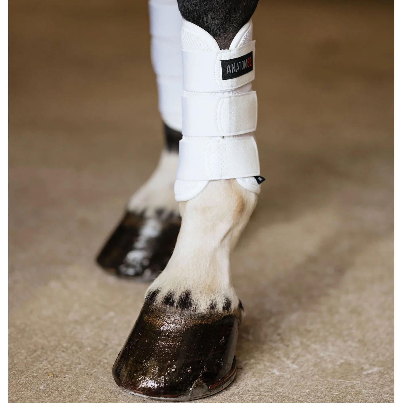 Anatomeq AirGuard Brush Boots - Image 9