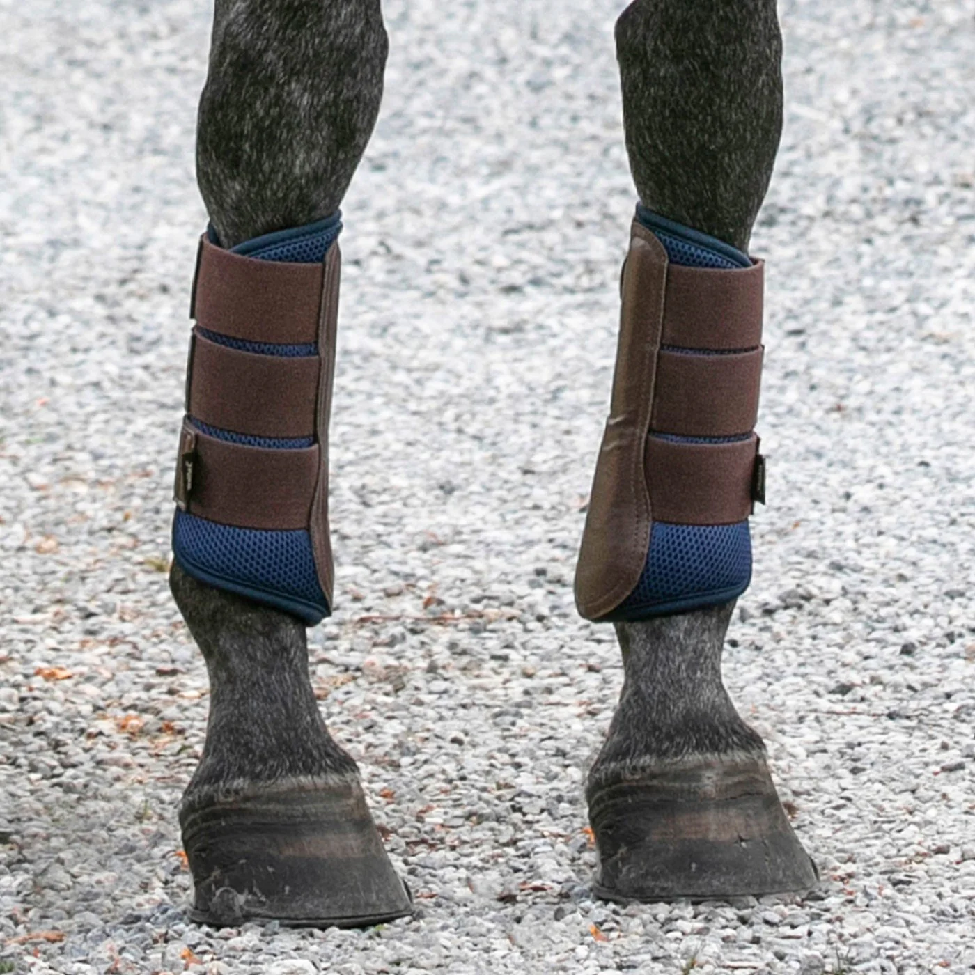 Back on Track Airflow Brush Boots - Image 6