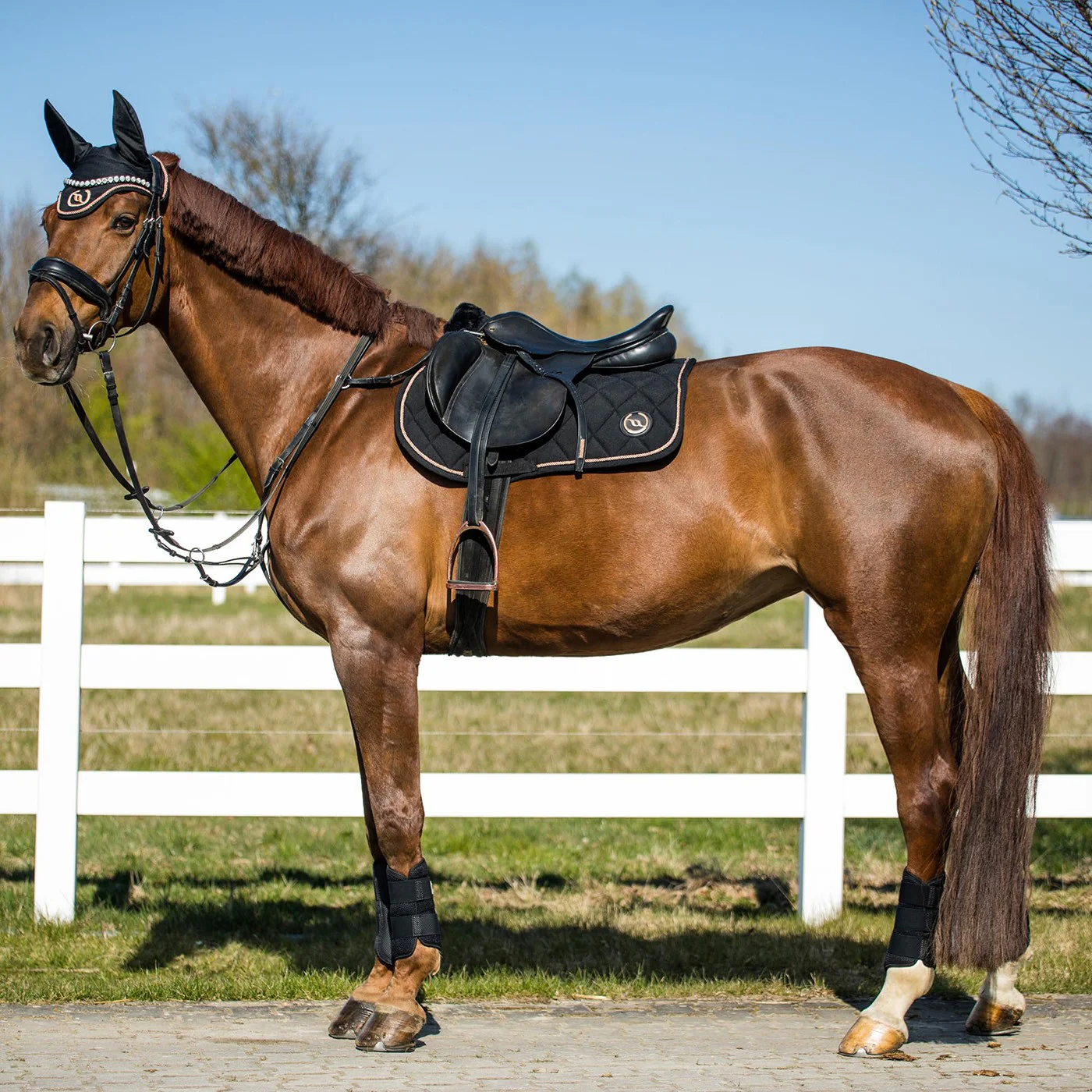 Back on Track Haze Collection Saddle Pad - Image 3