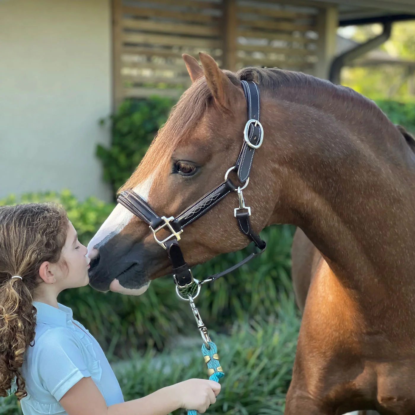 Belle & Bow Fancy Stitched Pony Halter - Image 3