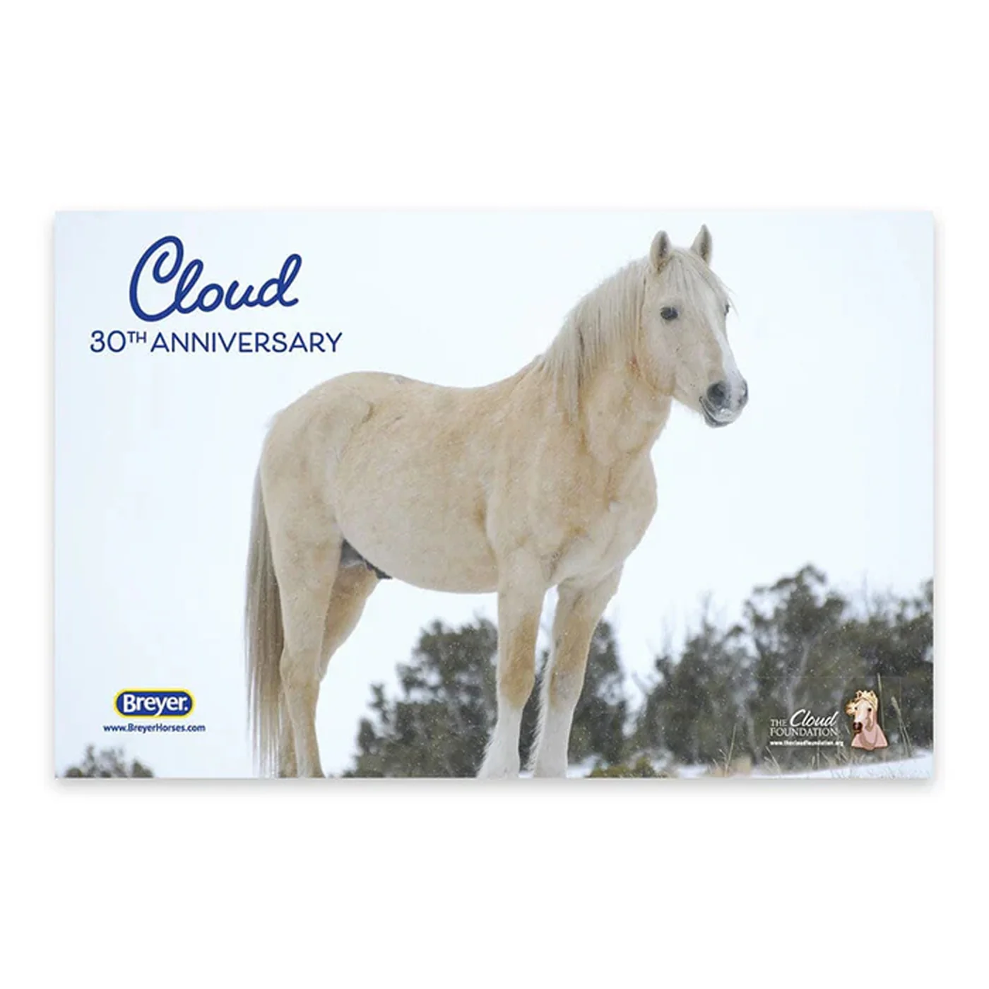 Breyer Traditional 30th Anniversary Edition Wild Stallion of the Rockies - Image 3