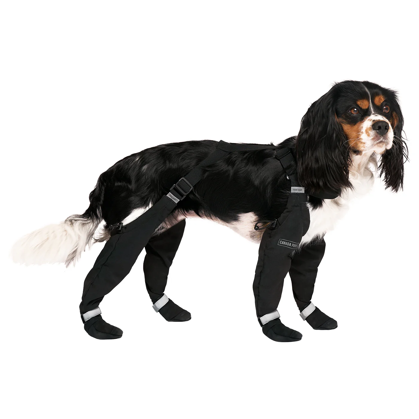 Canada Pooch Suspender Boots - Size 1 Short - Image 5
