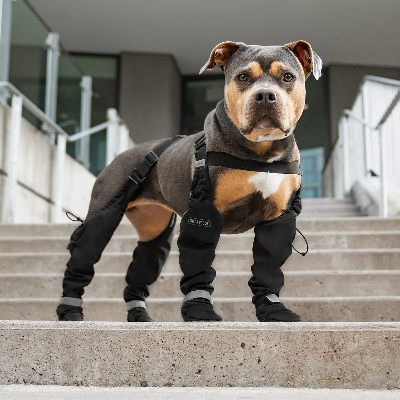 Canada Pooch Suspender Boots - Size 1 Short - Image 6