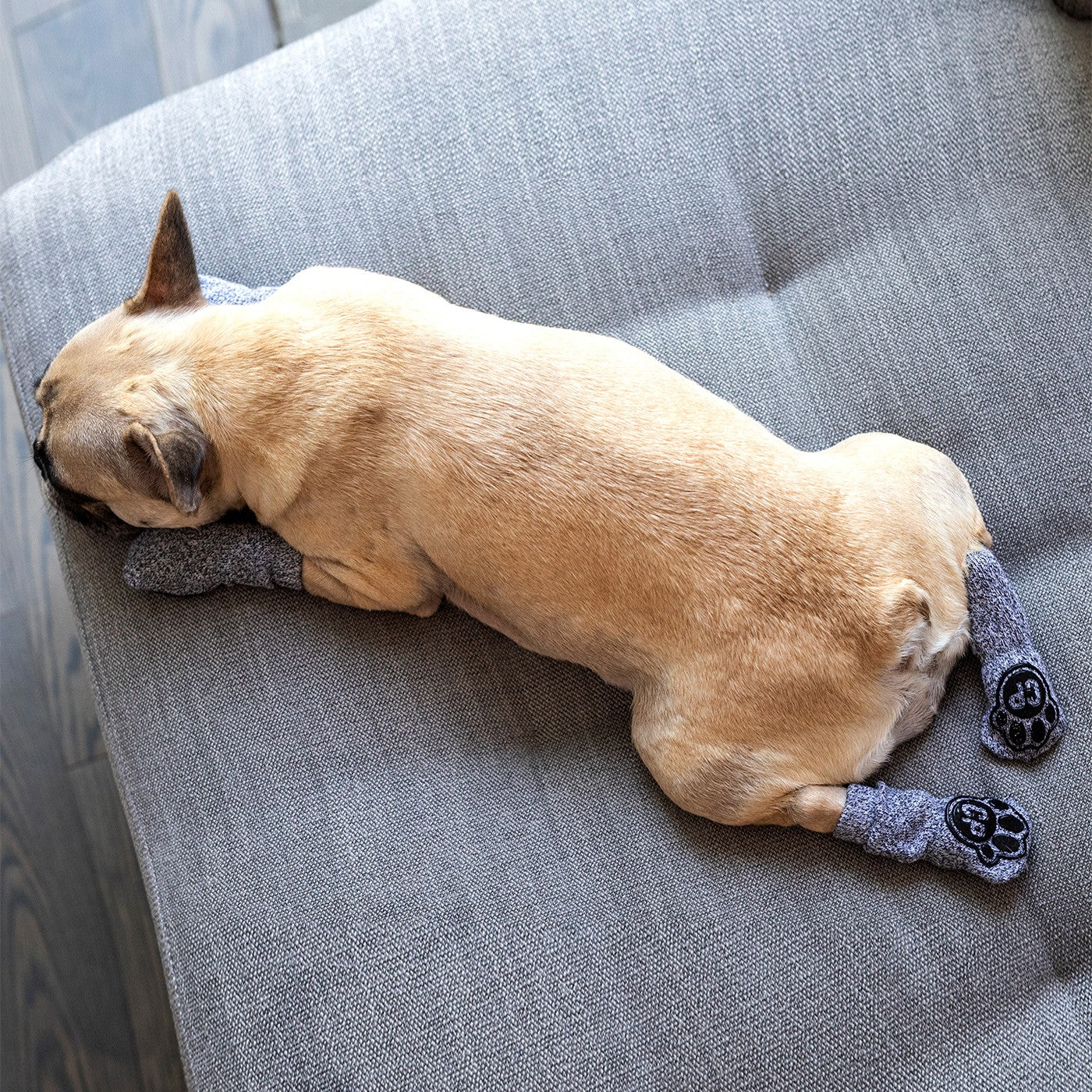 Canada Pooch The Basics Dog Socks - Image 4
