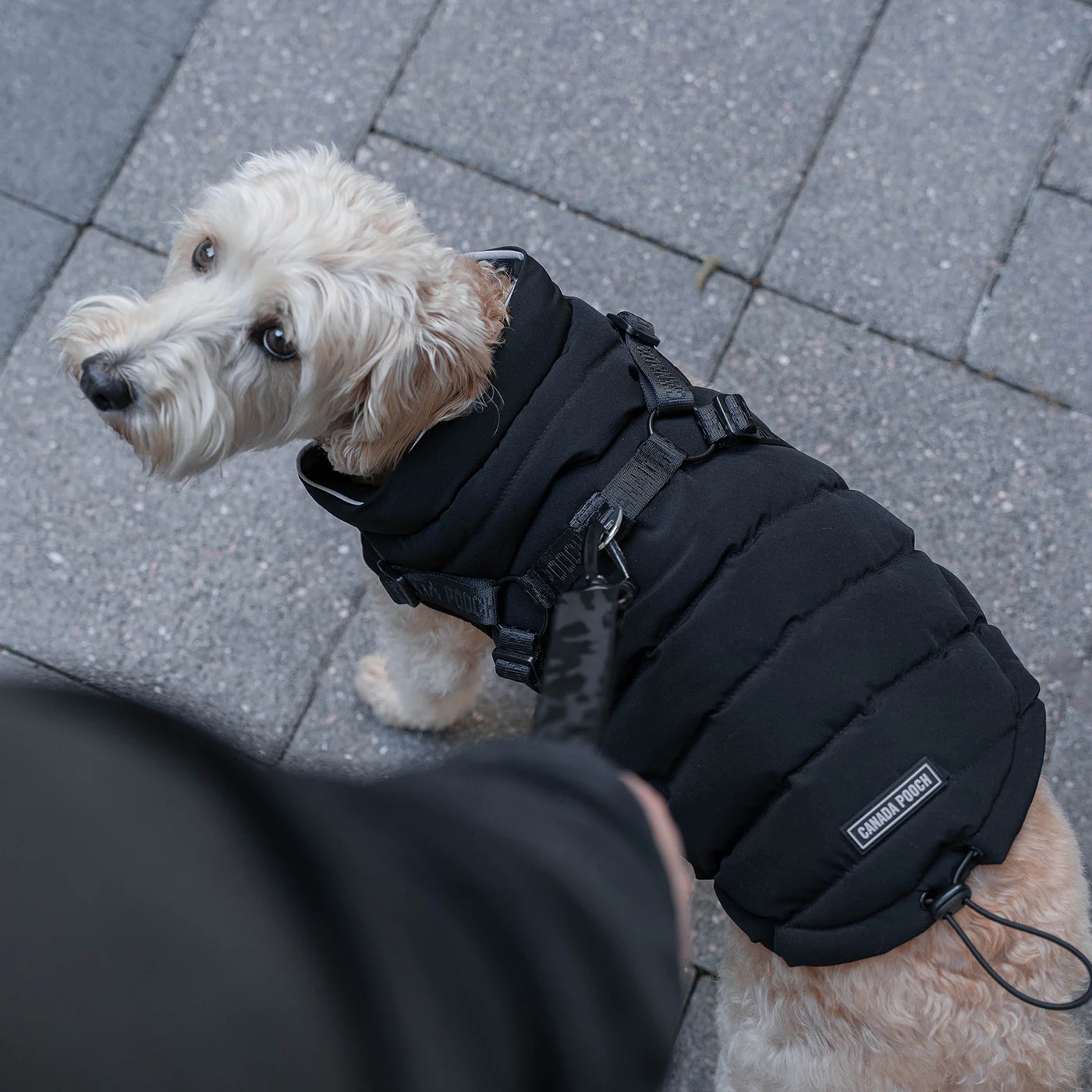 Canada Pooch The Harness Puffer - Image 10