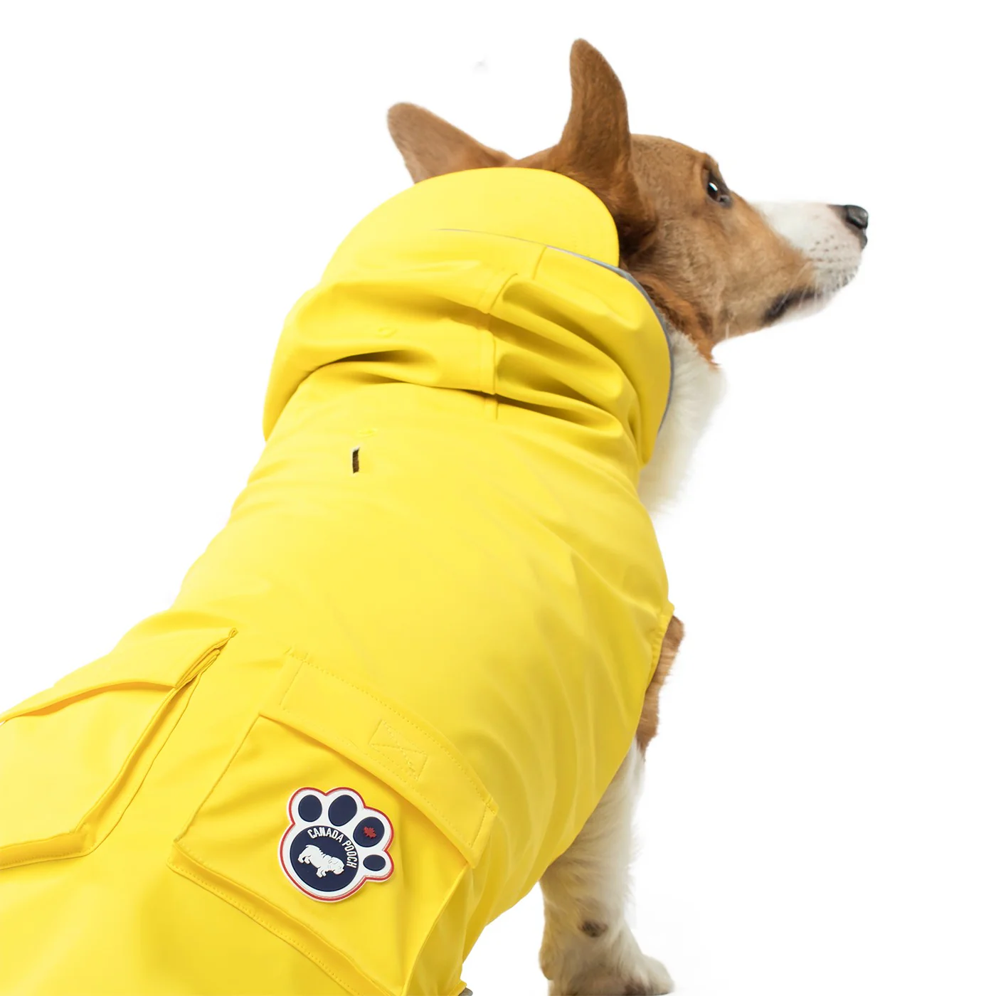Canada Pooch Torrential Tracker Dog Jacket - Image 3