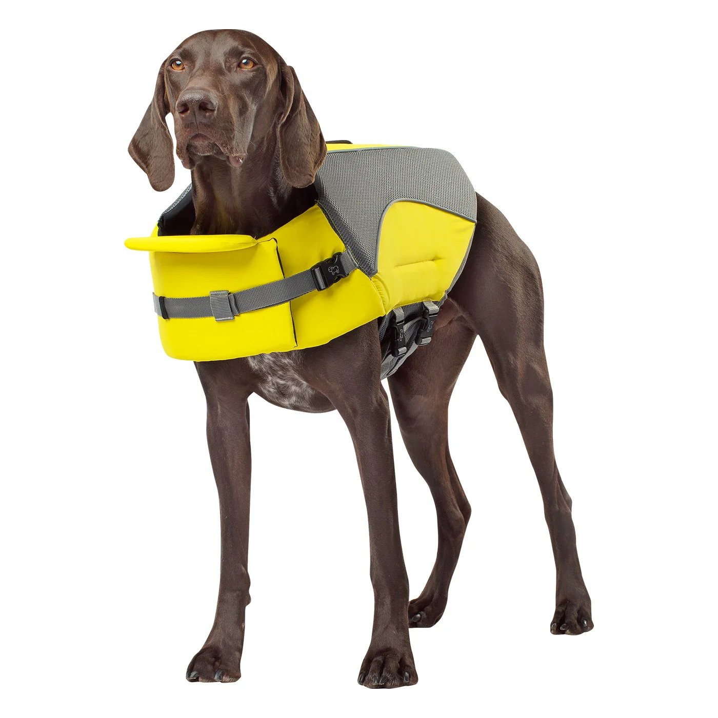 Canada Pooch Wave Rider Dog Life Vest - Image 3