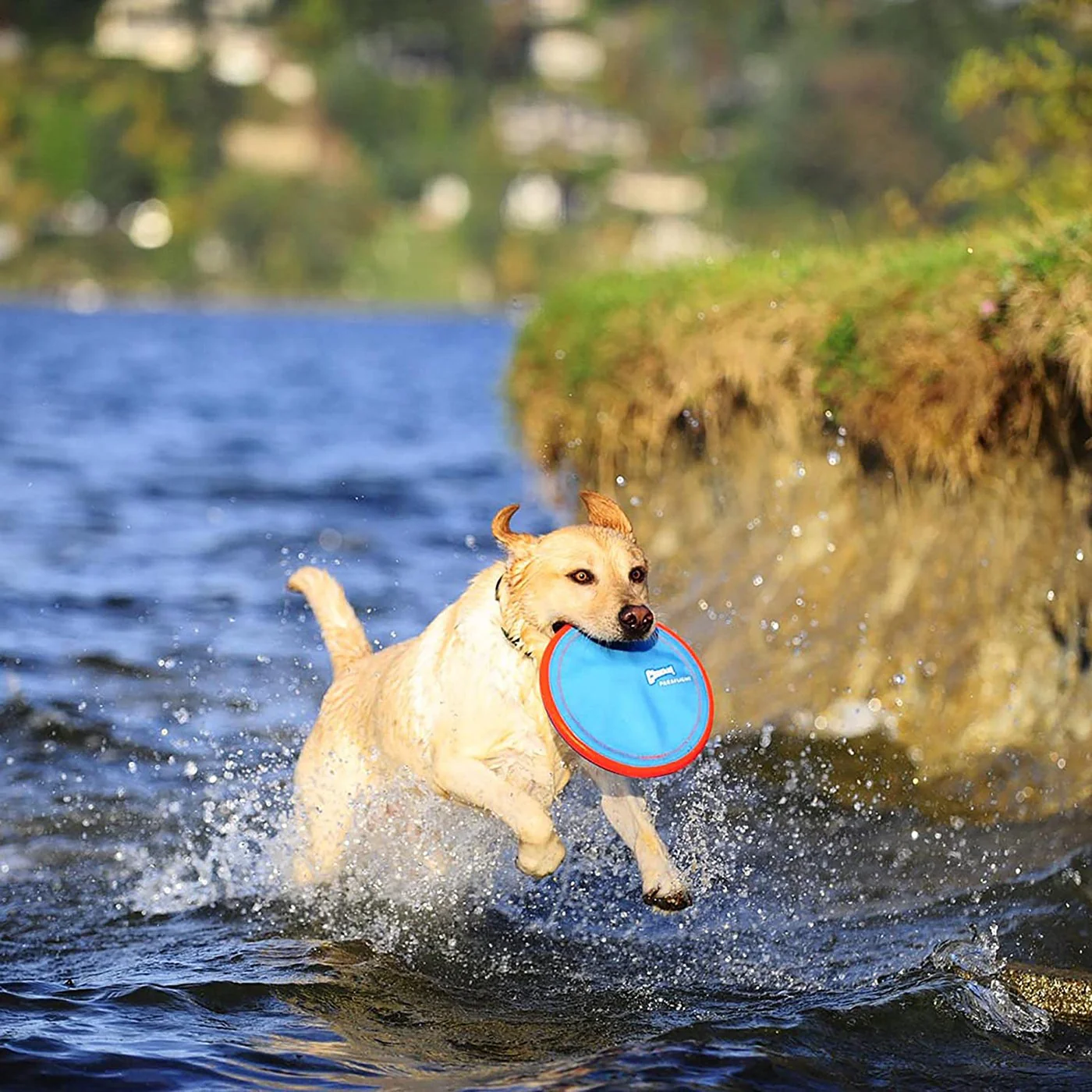 Chuckit! Flyers Paraflight Dog Toy - Image 2