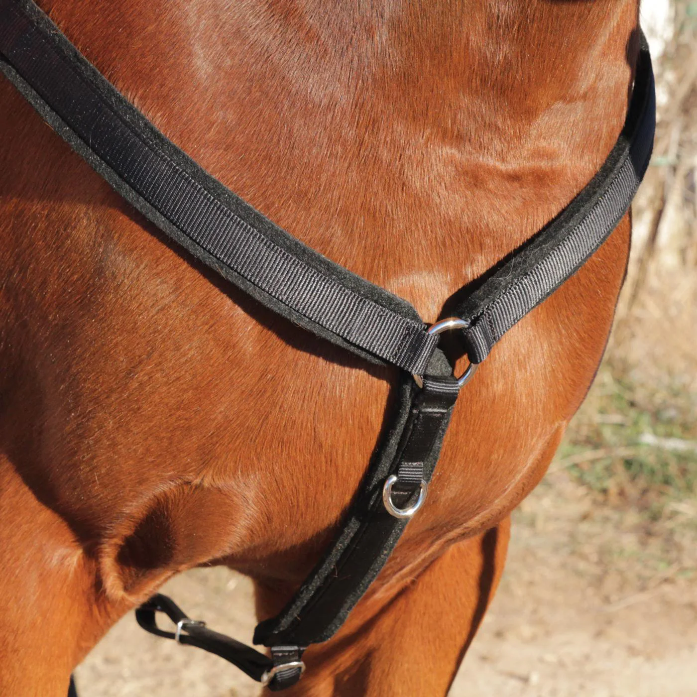 Copper Canyon Felt Lined Breast Collar - Image 4