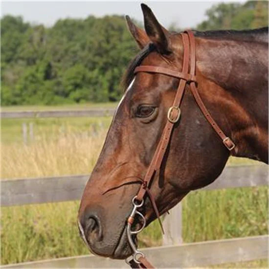 Copper Canyon Harness Leather Browband Headstall W/ Ties - Image 2