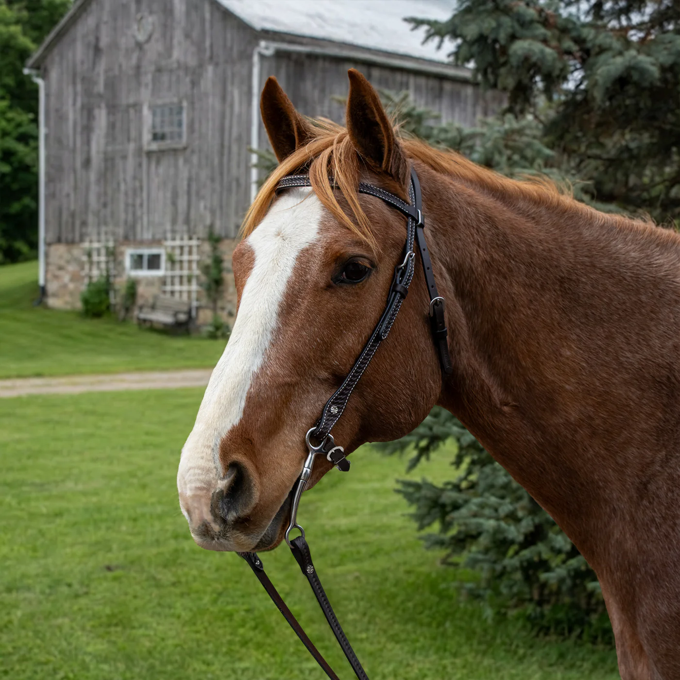Country Legend Basket Tooling Browband Headstall - Image 2