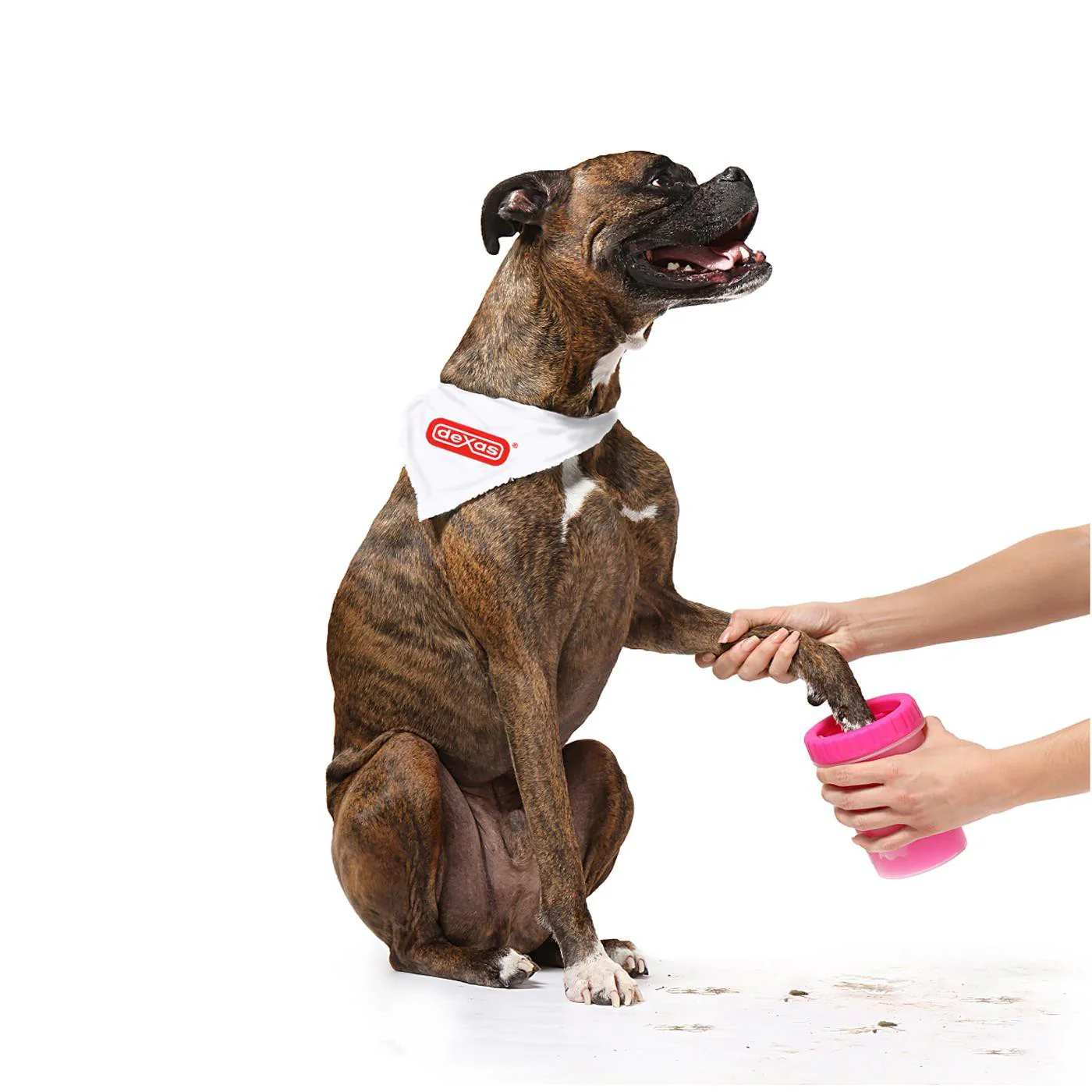 Dexas MudBuster - Image 3