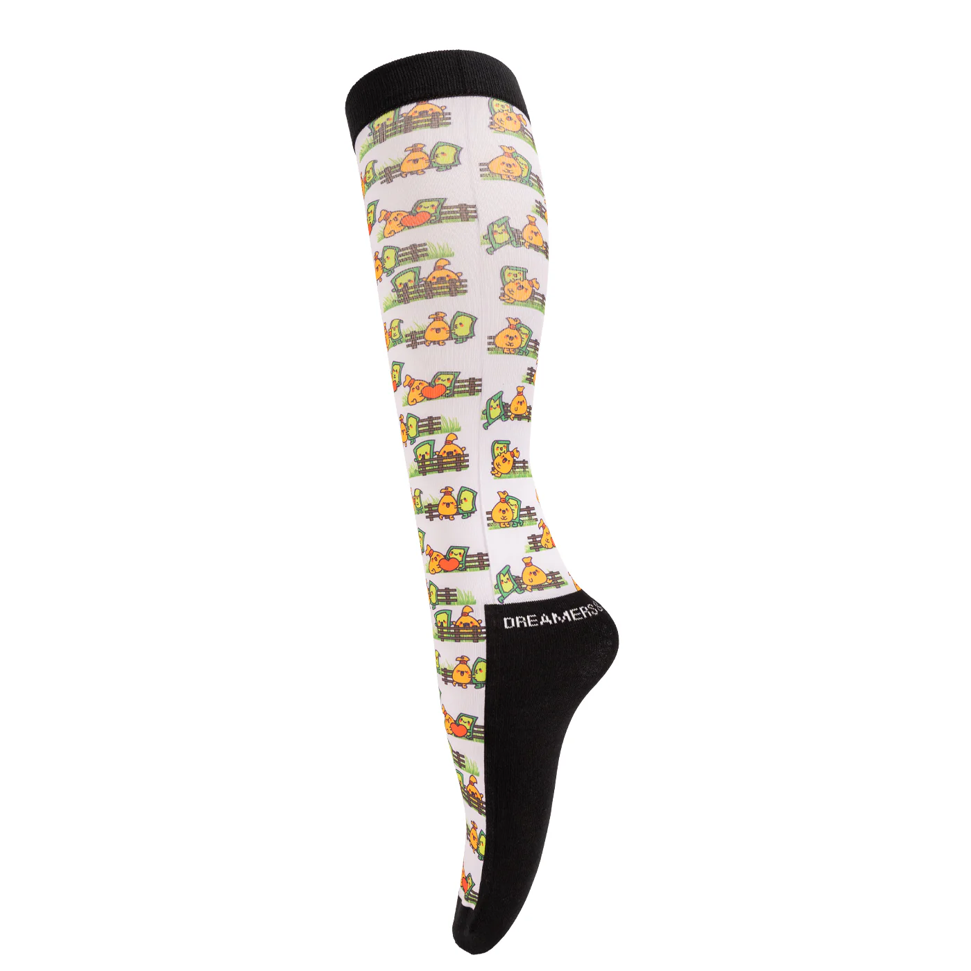 Dreamers & Schemers Bank Account Boot Socks