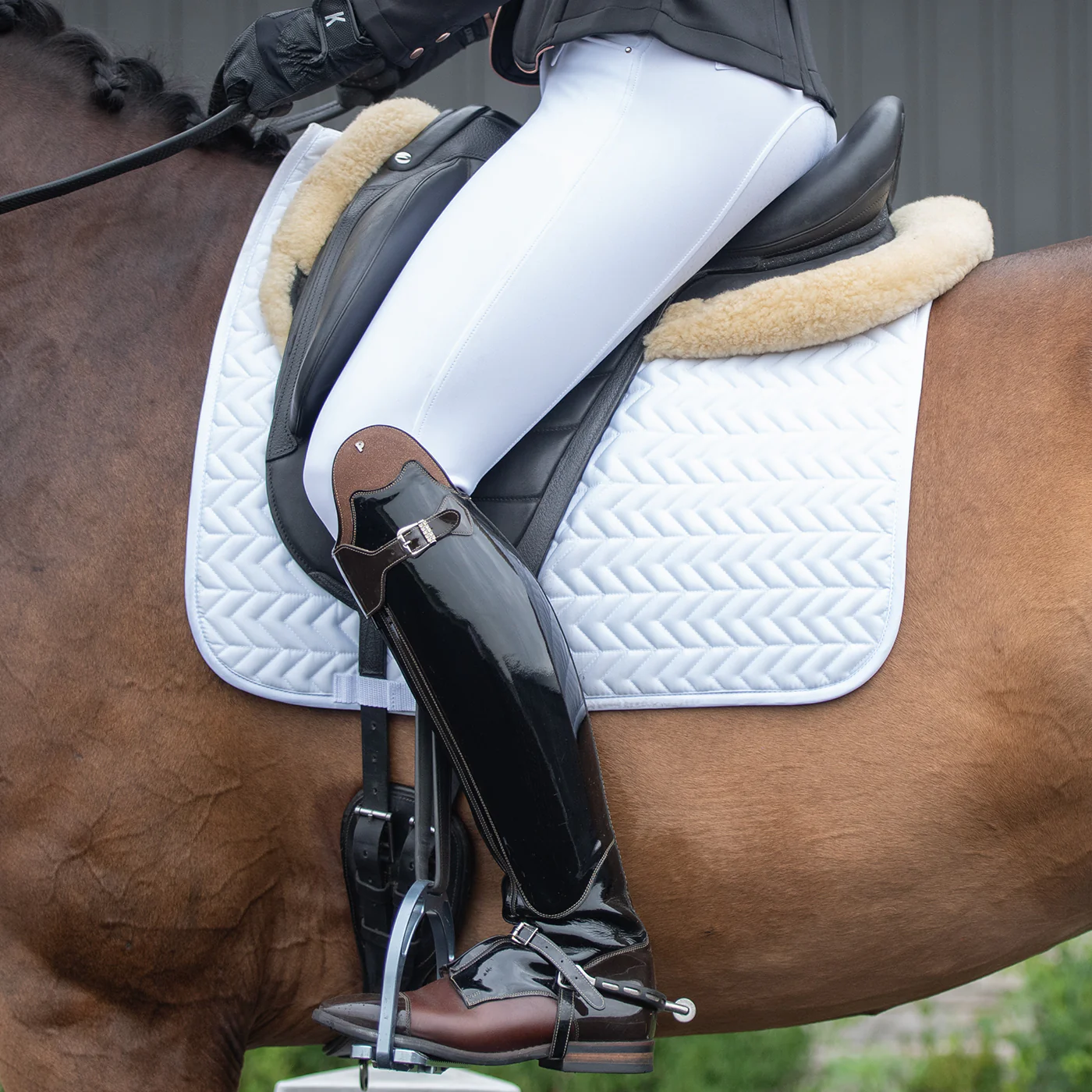 Elation Diamond Gramercy Full Seat Show Breech - Image 17