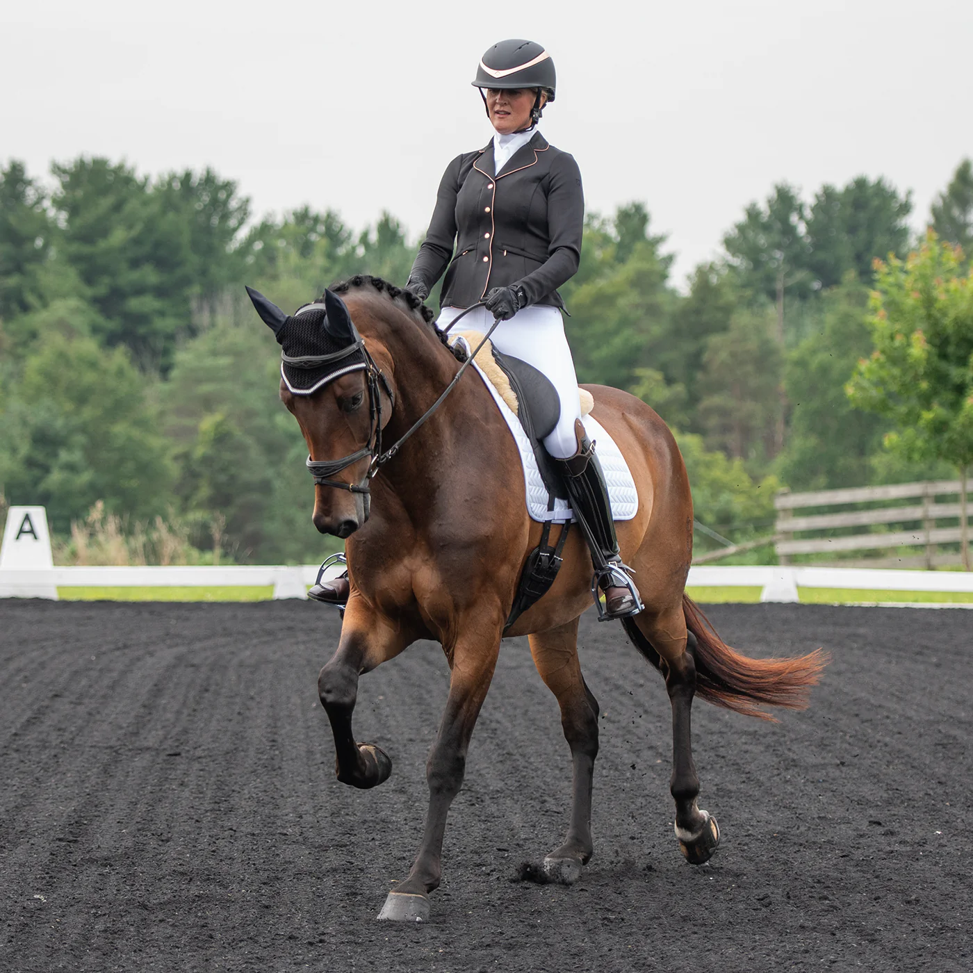 Elation Diamond Gramercy Full Seat Show Breech - Image 18