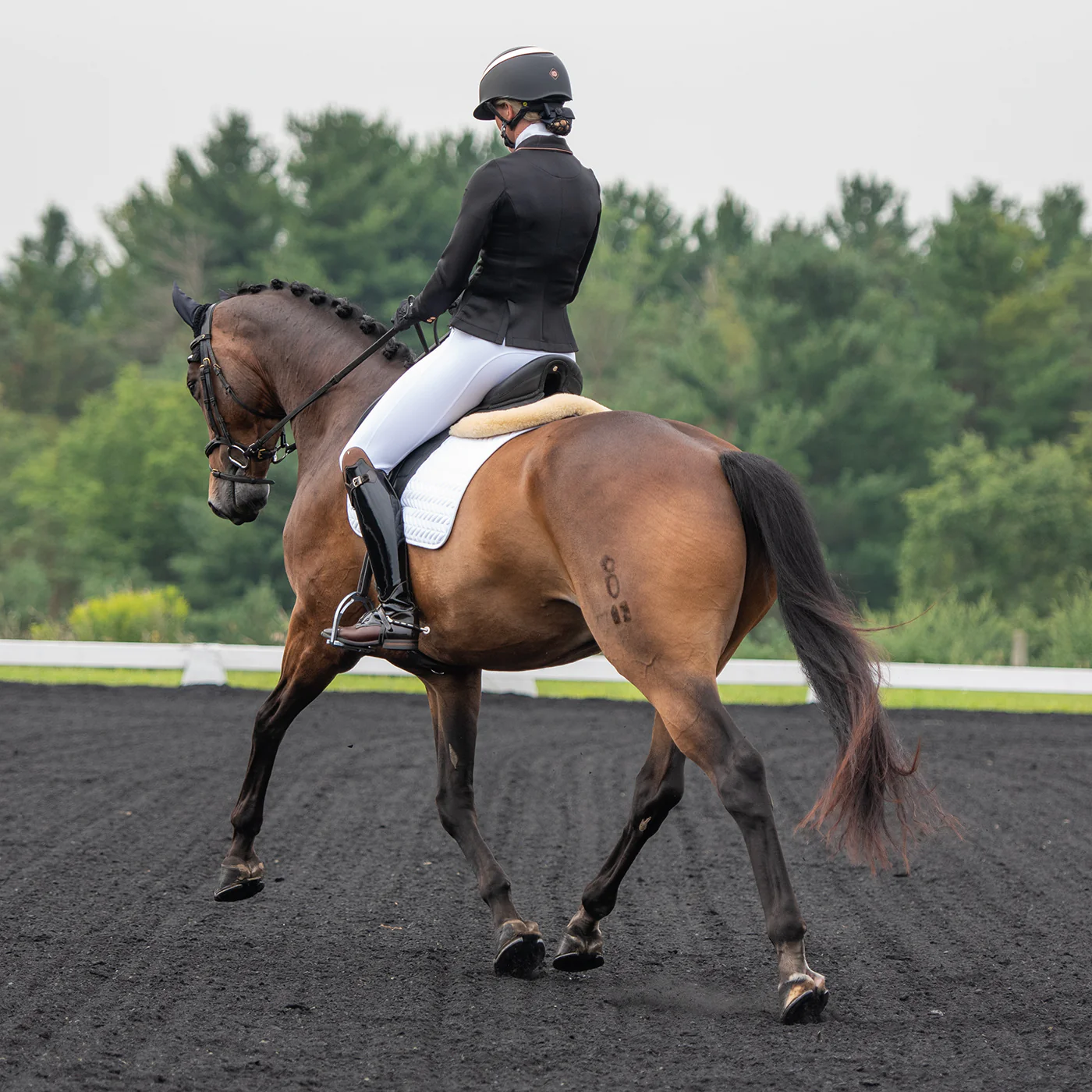 Elation Diamond Gramercy Full Seat Show Breech - Image 19