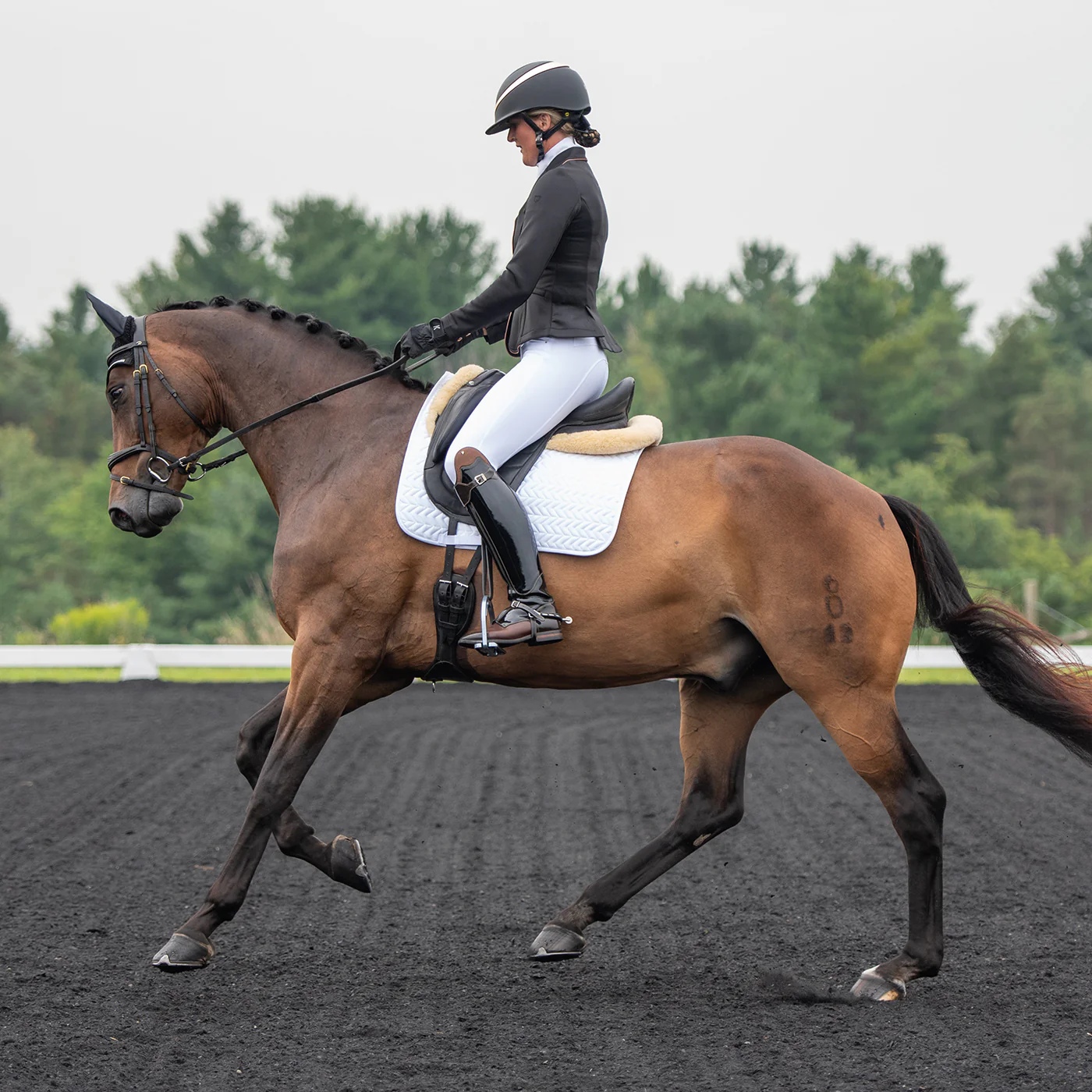 Elation Diamond Gramercy Full Seat Show Breech - Image 20