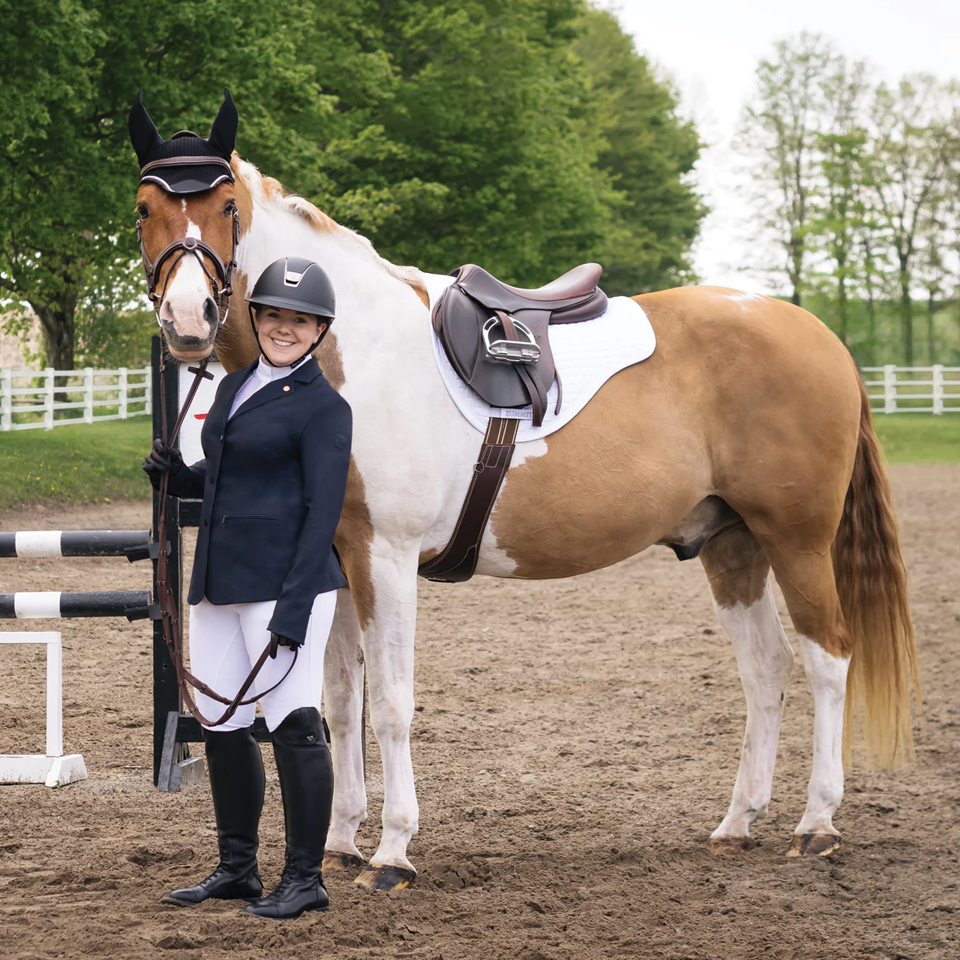 Elation Diamond Sutton Show Breech - Image 8