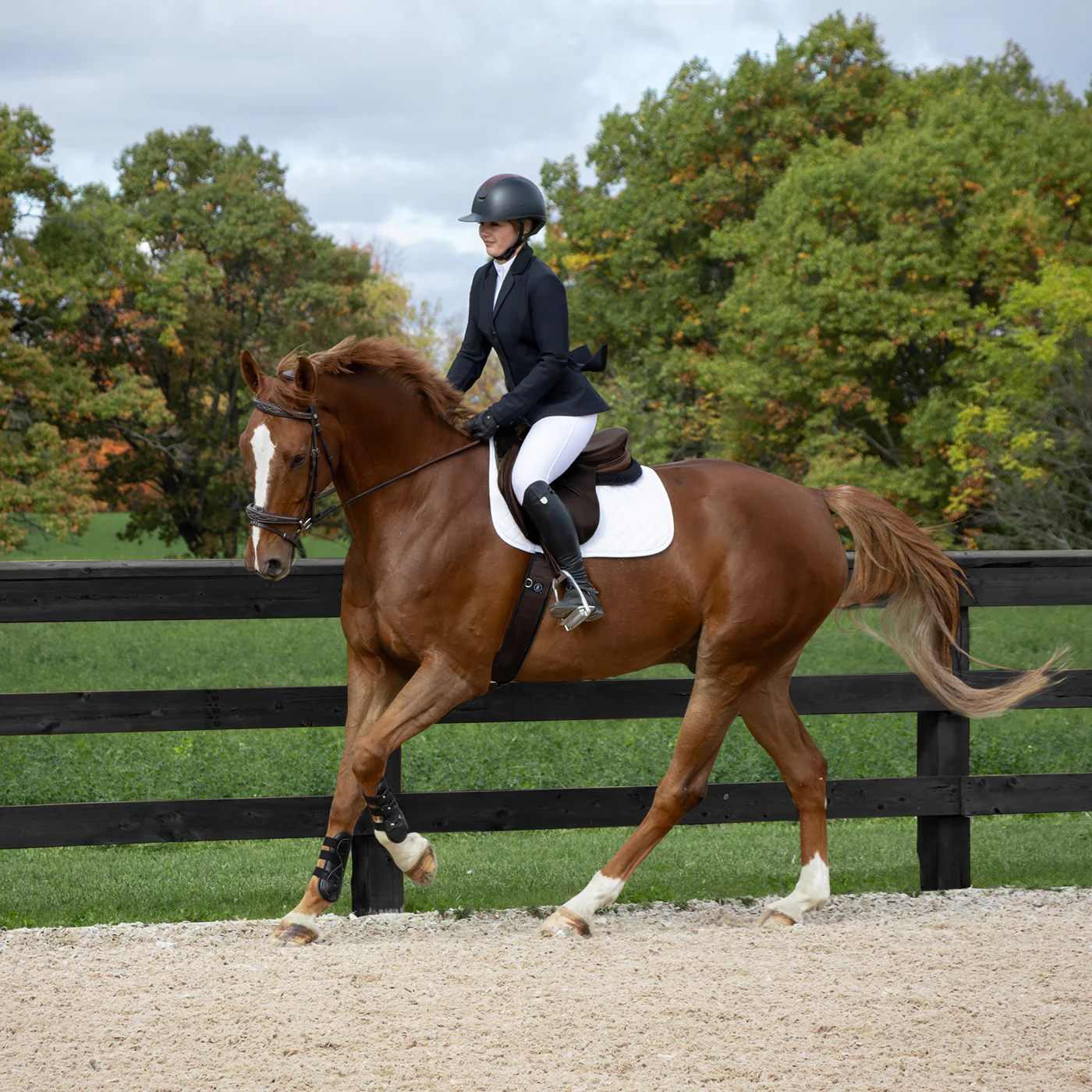Elation Platinum Carrera Show Jacket - Image 9