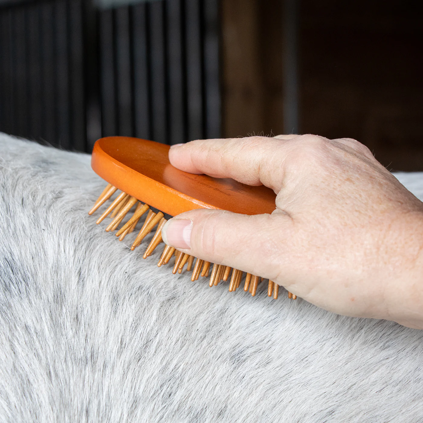 Epona Wood Curry Love Brush - Image 3