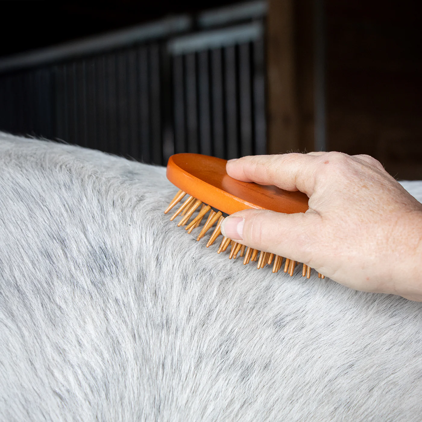 Epona Wood Curry Love Brush - Image 5