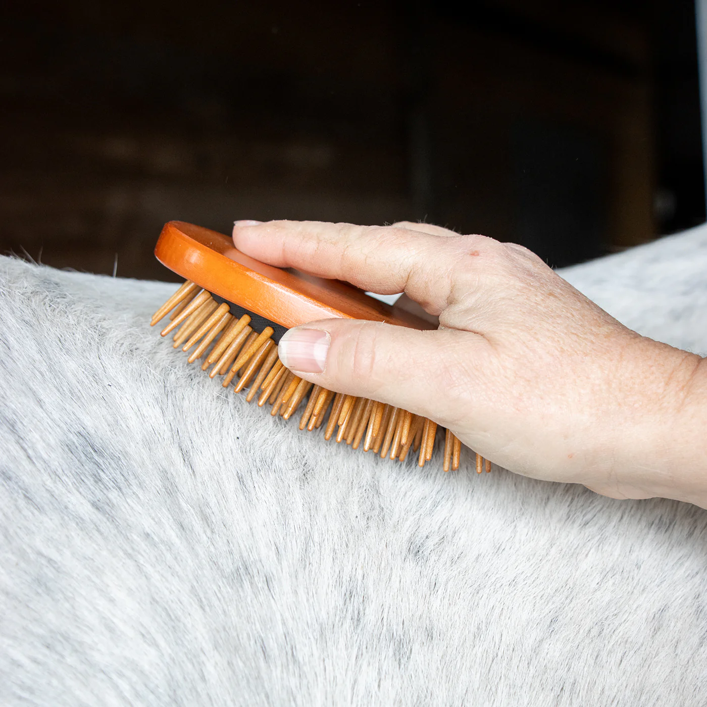 Epona Wood Curry Love Brush - Image 6