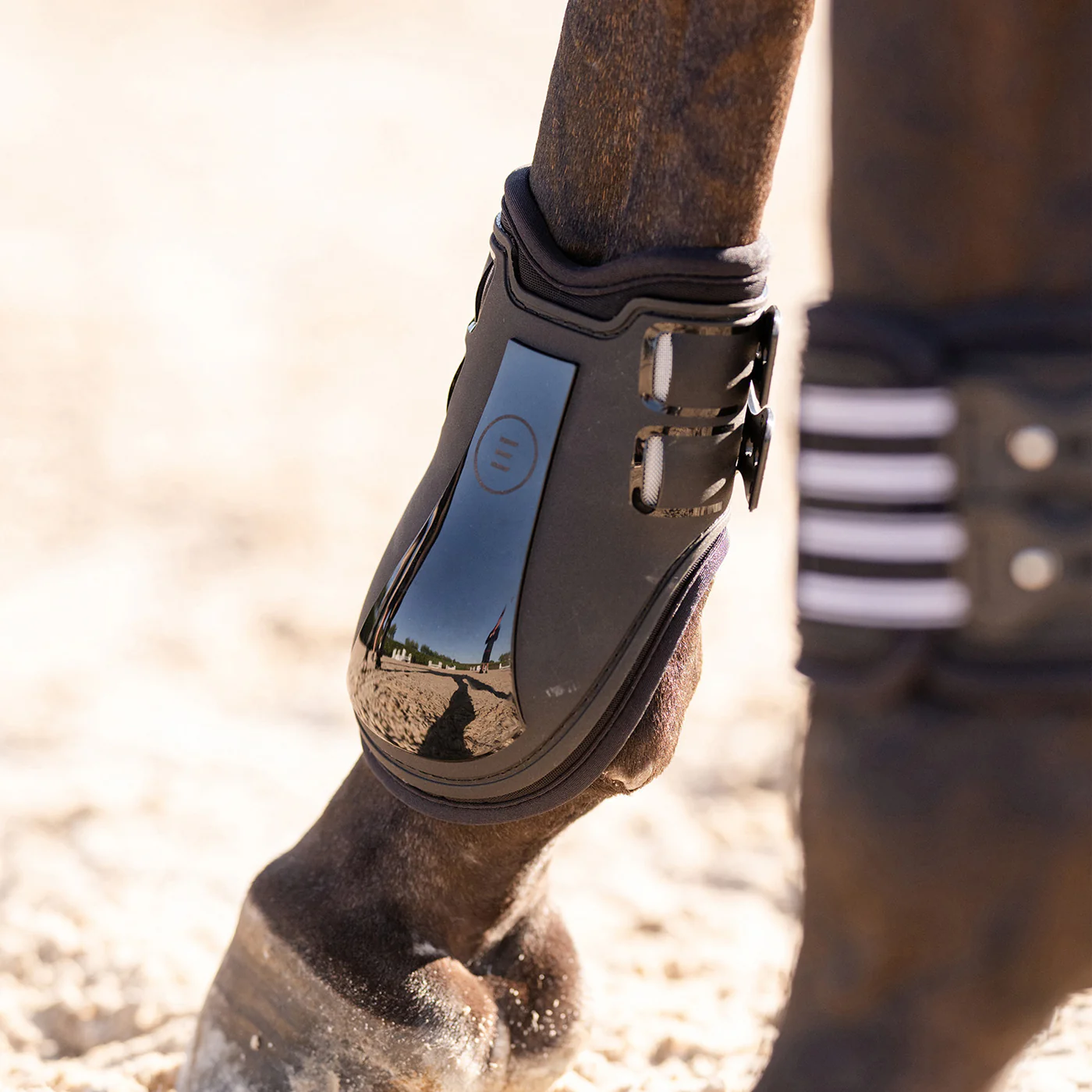 New For Your Horse!