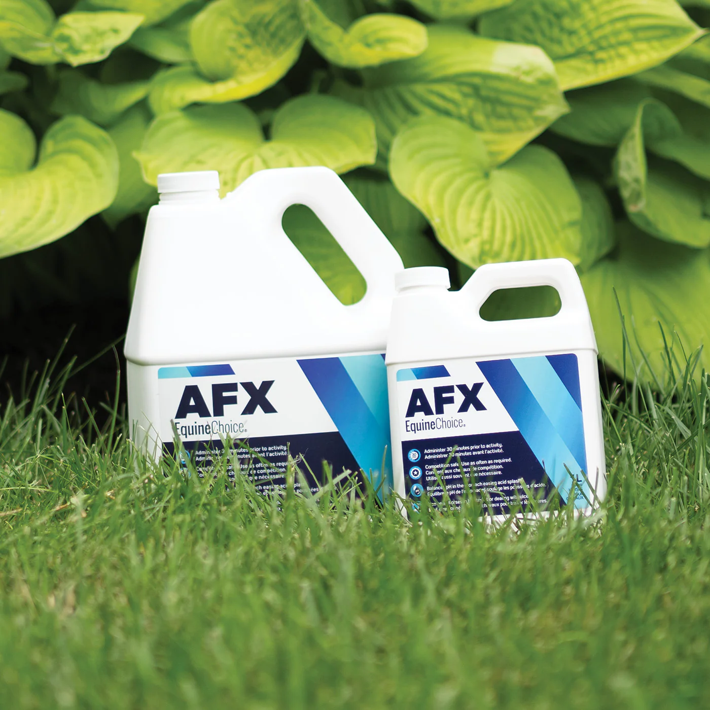 Equine Choice AFX 1 L - Image 3
