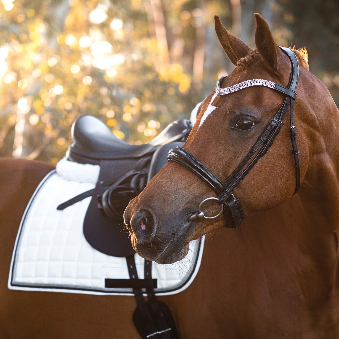 FFE Couture Patent Dressage Snaffle Bridle - Image 17