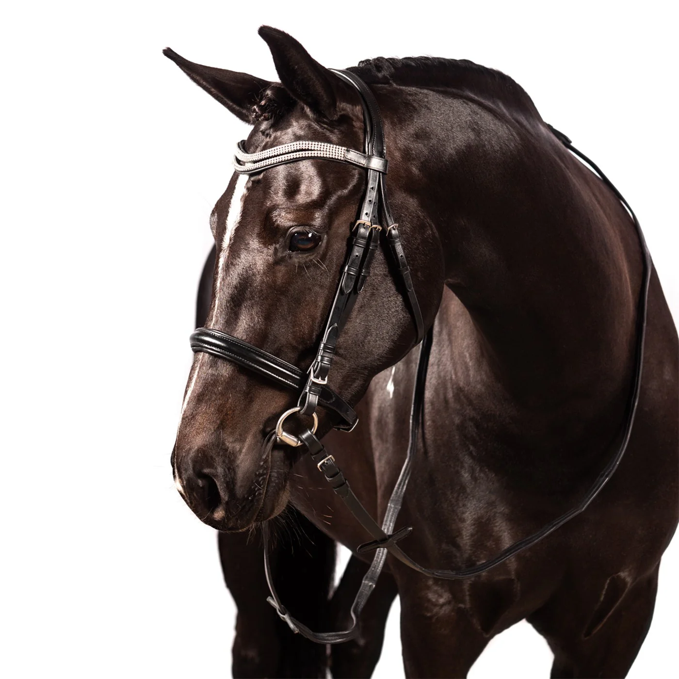 FFE Split Wave Dressage Snaffle Bridle - Image 10