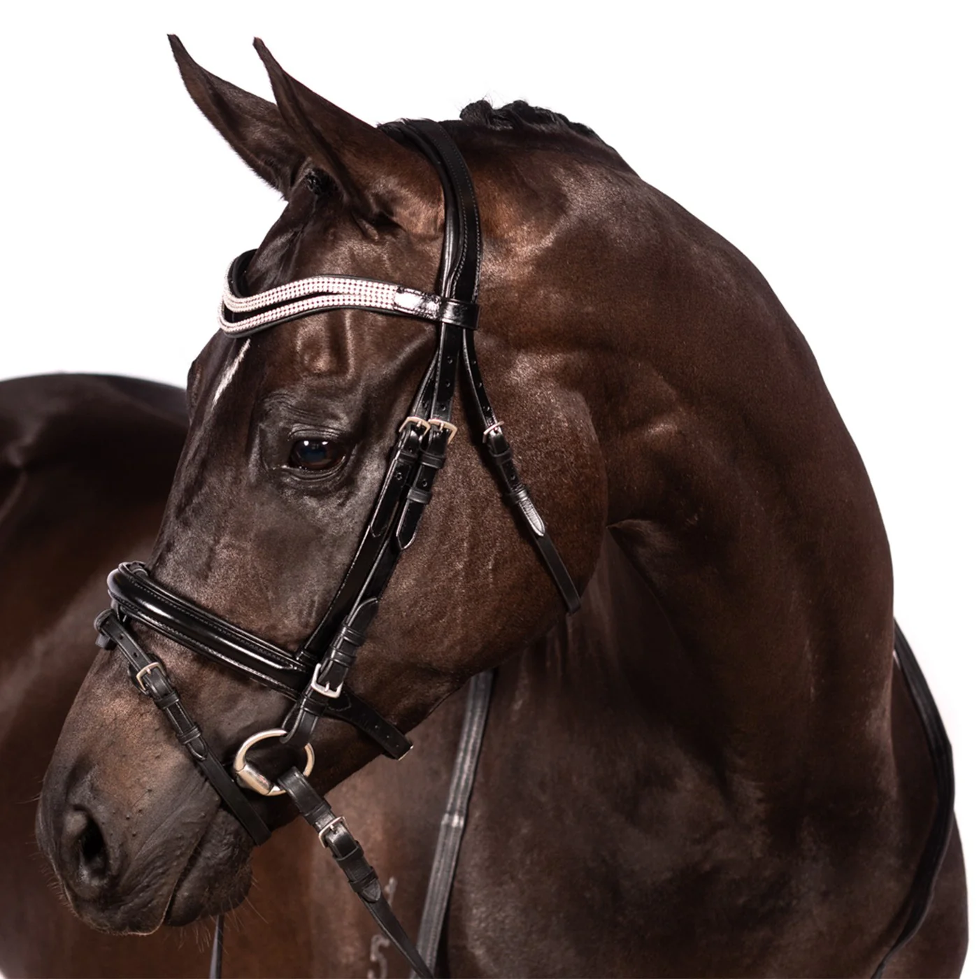 FFE Split Wave Dressage Snaffle Bridle - Image 11