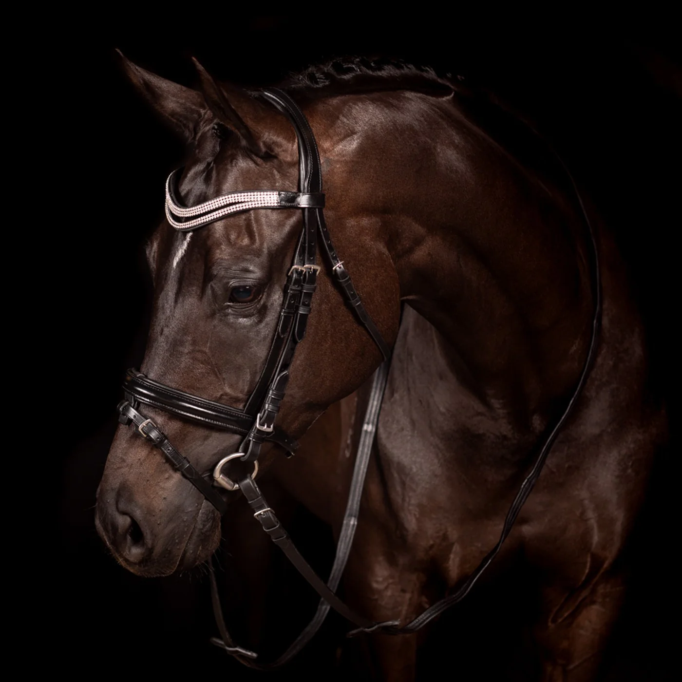 FFE Split Wave Dressage Snaffle Bridle - Image 12